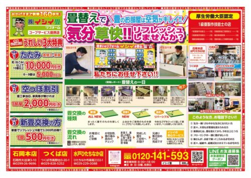 最新チラシ